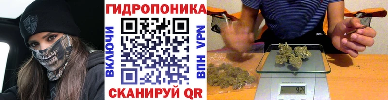 Купить закладку ГАШ Галлюциногенные грибы Codein COCAIN Меф мяу мяу Новотроицк