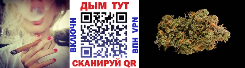 Шишки марихуана THC 21%  Купить где  Новотроицк 